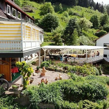 Ferienwohnung Am Hang Mit Malerischer Aussicht Osterode am Harz エクステリア 写真