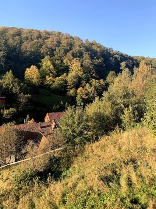 Ferienwohnung Am Hang Mit Malerischer Aussicht Osterode am Harz エクステリア 写真